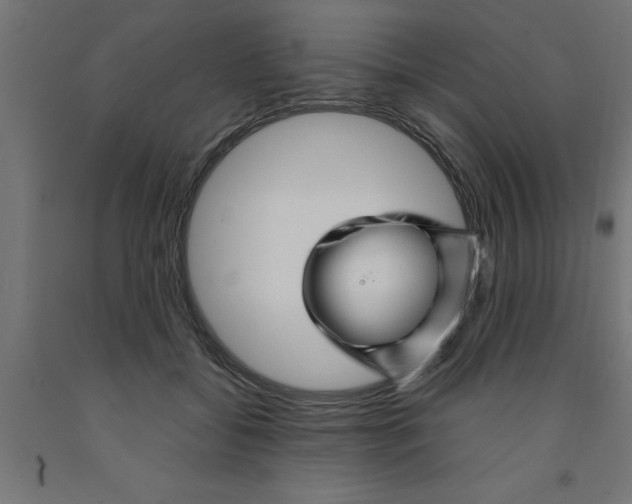 X0000090870556200708241922