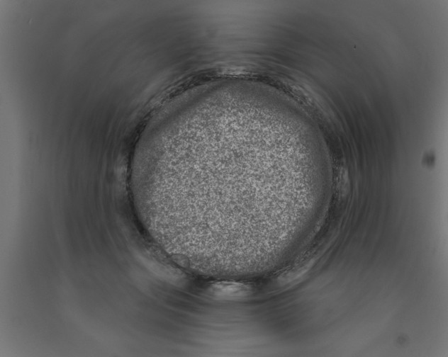 X0000090870557200708241922