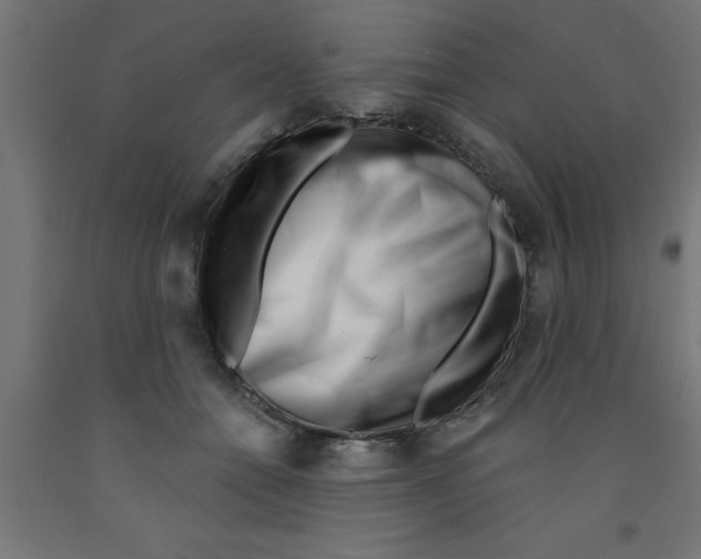 X0000090870558200708241922