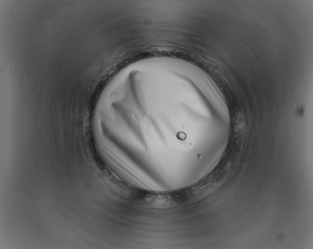 X0000090870559200708241922