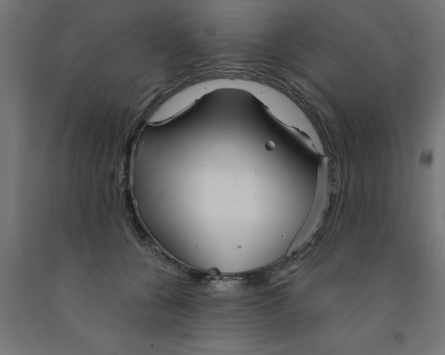 X0000090870560200708241922