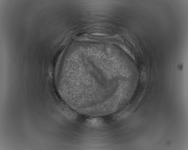 X0000090870561200708241922