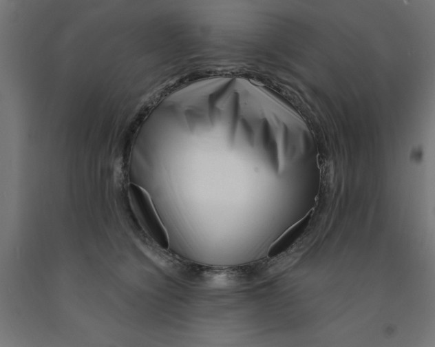 X0000090870564200708241922