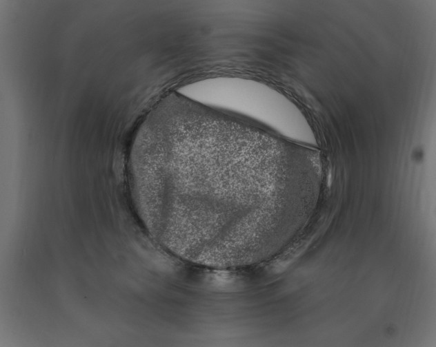 X0000090870565200708241922