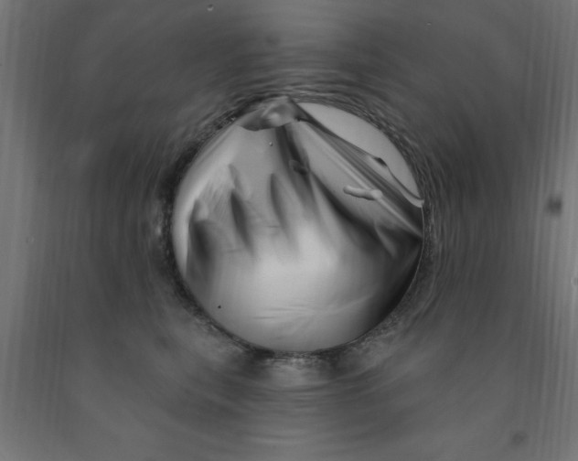 X0000090870567200708241922