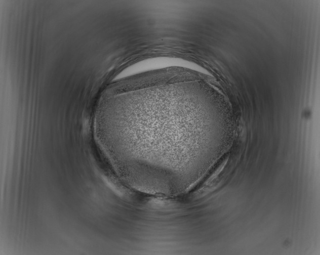 X0000090870568200708241922