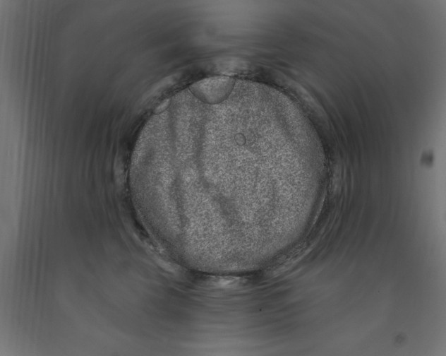 X0000090870569200708241922