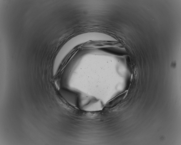 X0000090870570200708241922