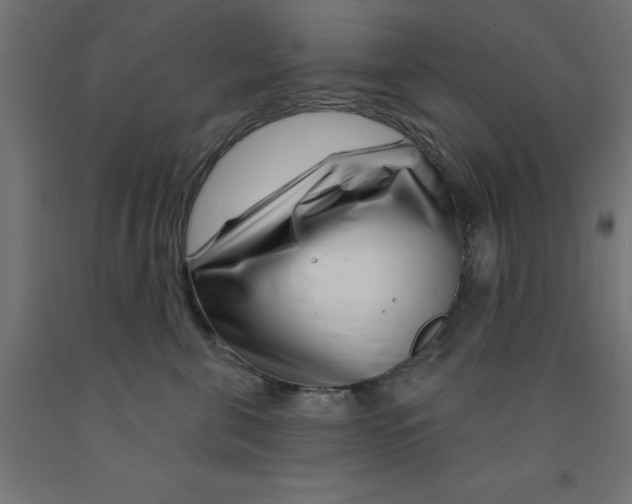 X0000090870571200708241922