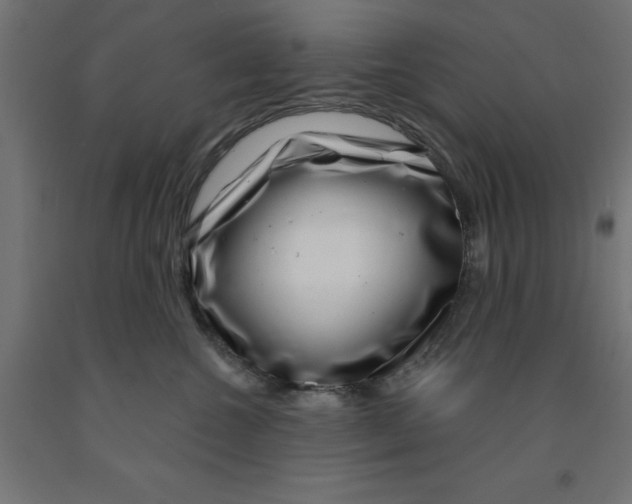 X0000090870572200708241922