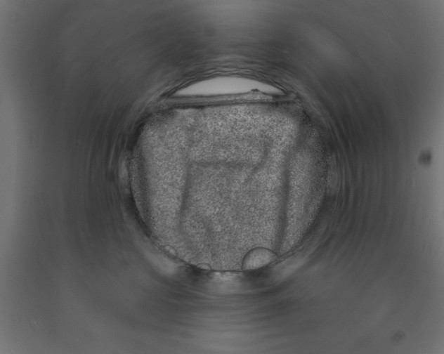 X0000090870573200708241922