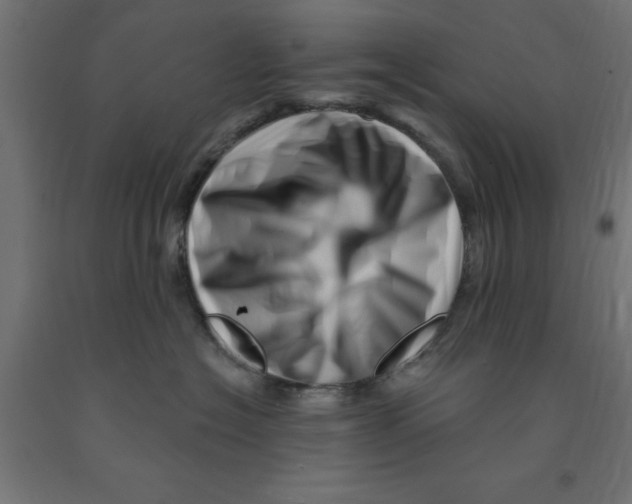 X0000090870574200708241922