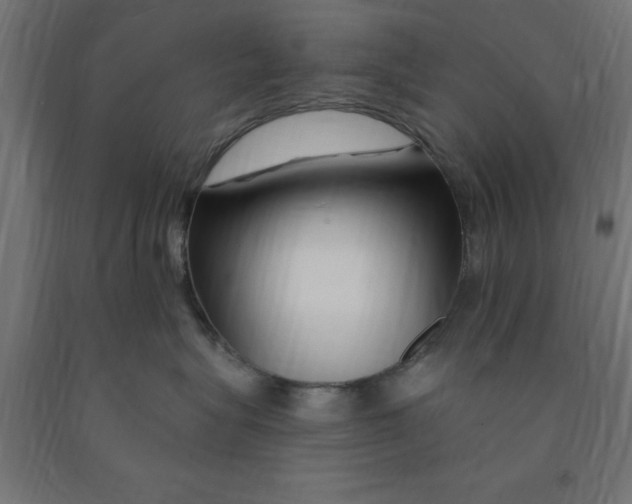 X0000090870575200708241922