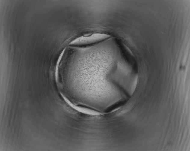 X0000090870576200708241922