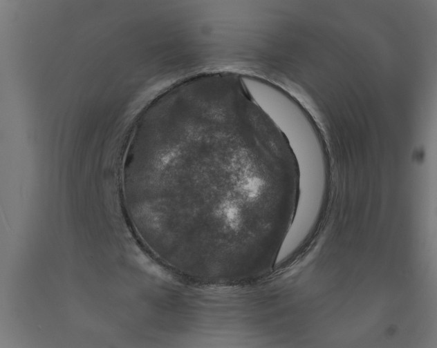 X0000090870577200708241922