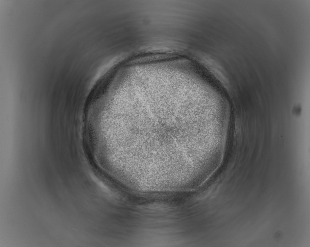 X0000090870578200708241922