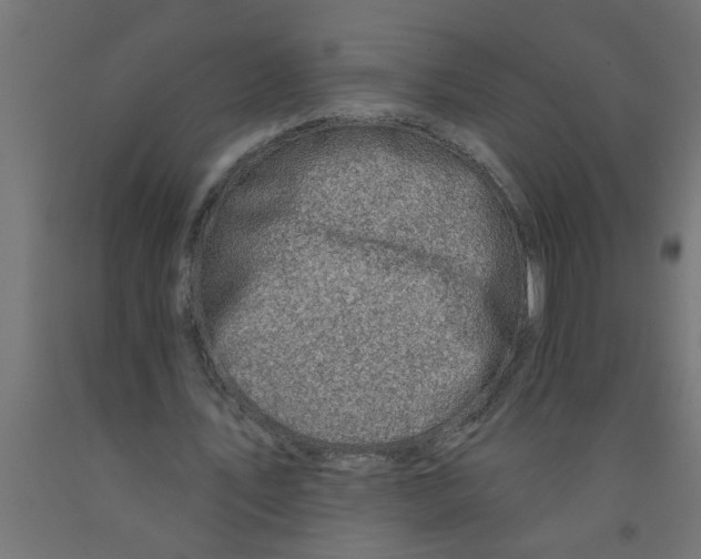 X0000090870579200708241922