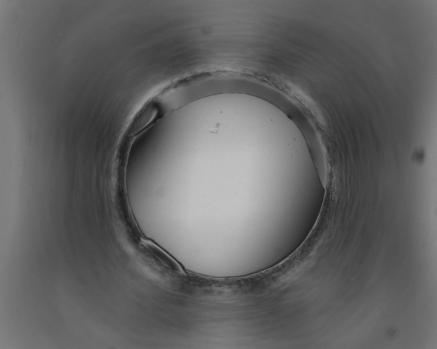 X0000090870580200708241922