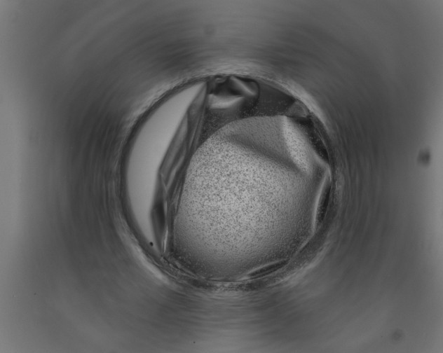 X0000090870581200708241922