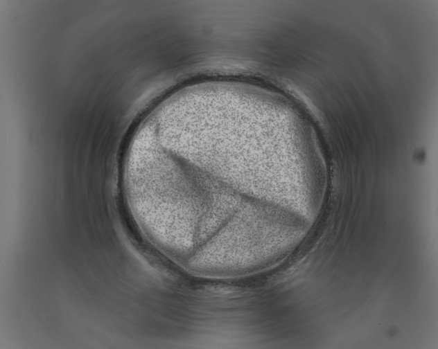 X0000090870582200708241922