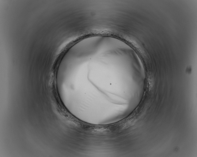 X0000090870583200708241922