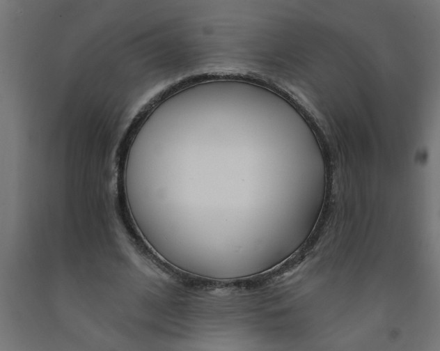 X0000090870584200708241922