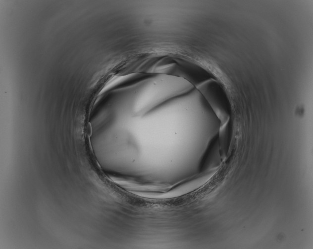 X0000090870585200708241921