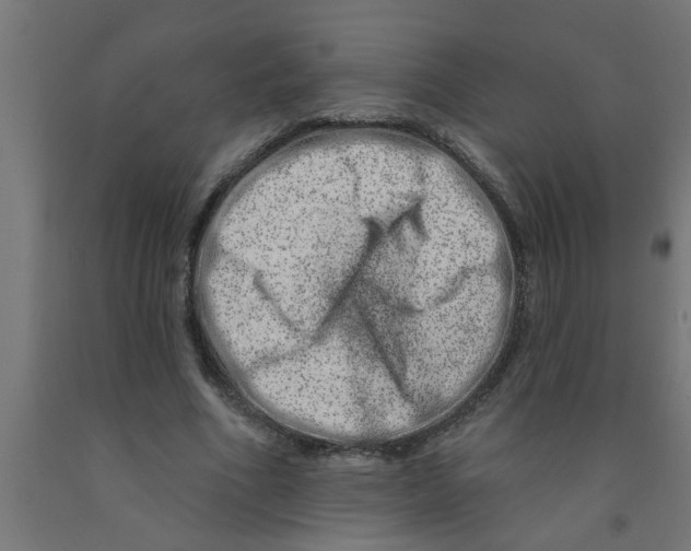 X0000090870586200708241921