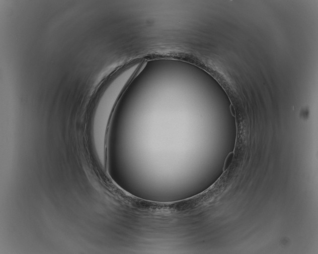 X0000090870587200708241921