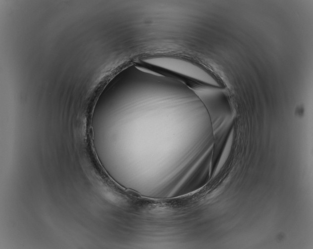 X0000090870589200708241921