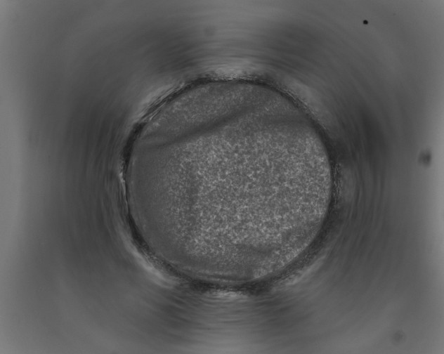 X0000090870590200708241921