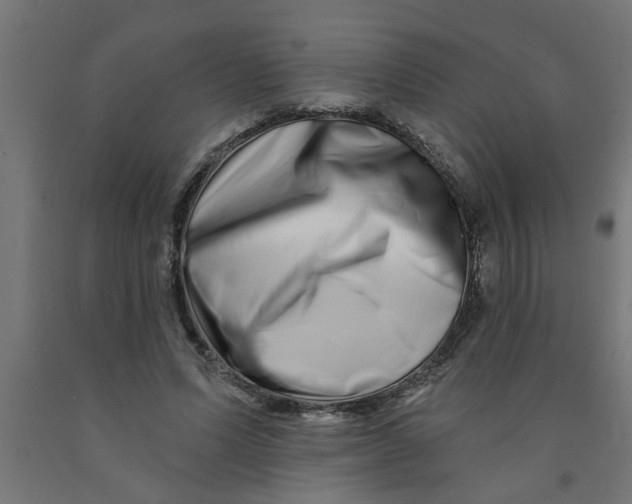 X0000090870591200708241921