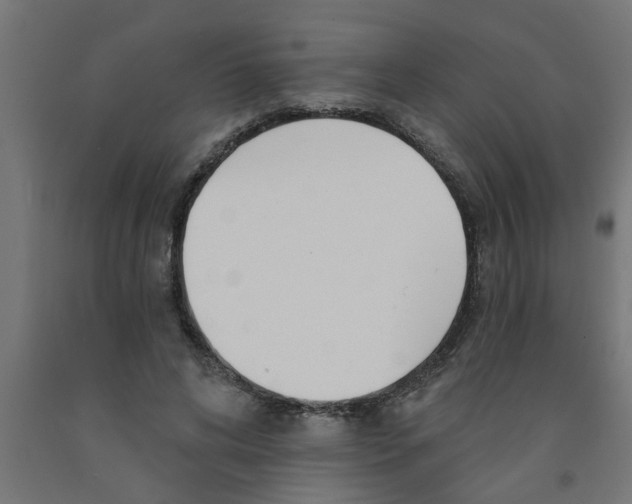 X0000090870592200708241921