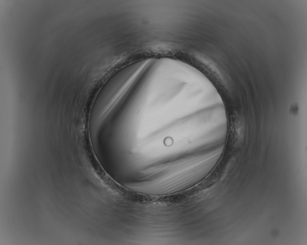 X0000090870593200708241921