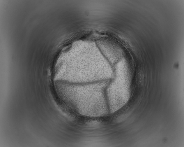 X0000090870594200708241921