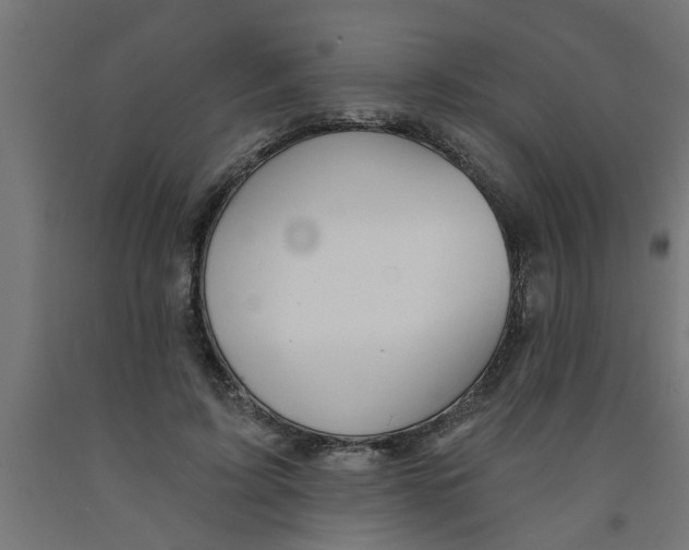 X0000090870595200708241921