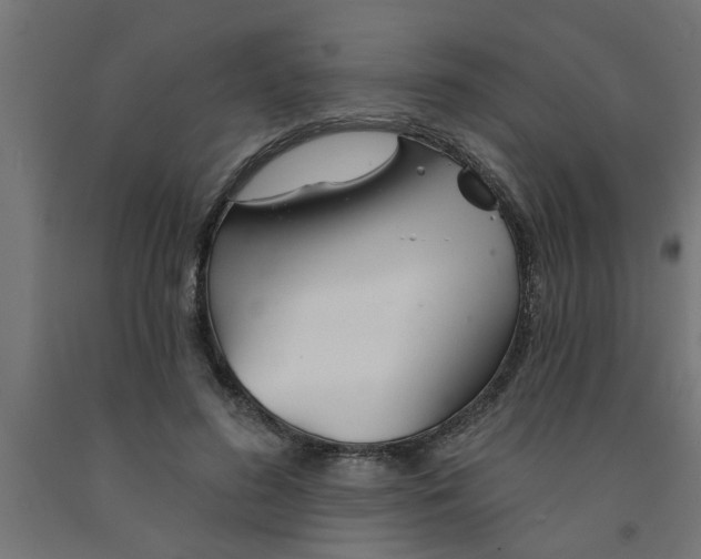 X0000090870596200708241921