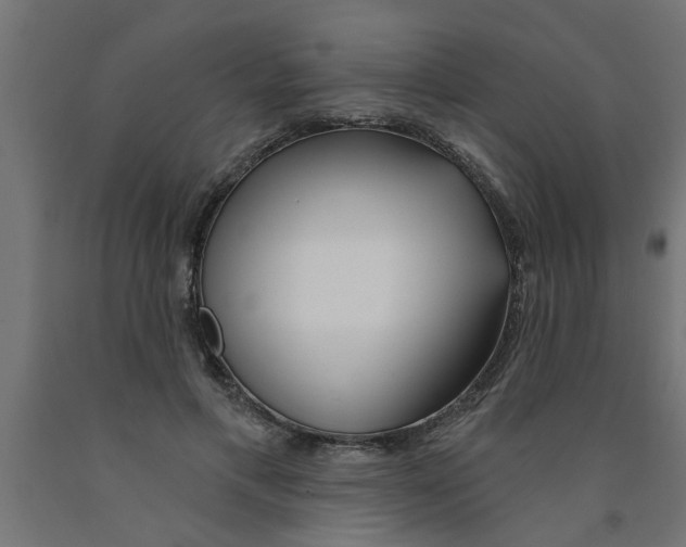 X0000090870597200708241921