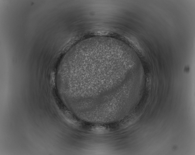 X0000090870598200708241921