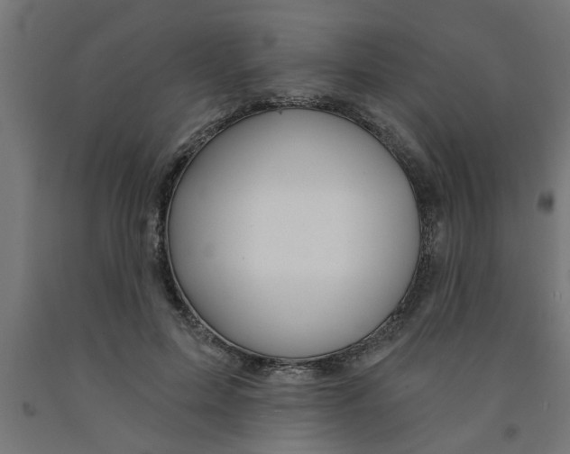 X0000090870599200708241921