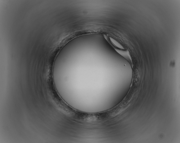 X0000090870600200708241921