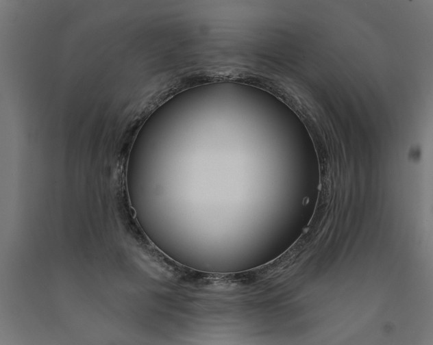 X0000090870601200708241921