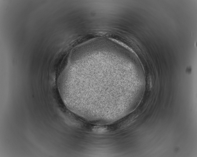 X0000090870602200708241921