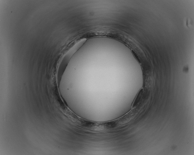 X0000090870604200708241921