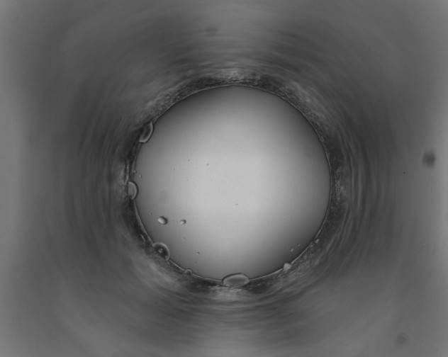 X0000090870605200708241921