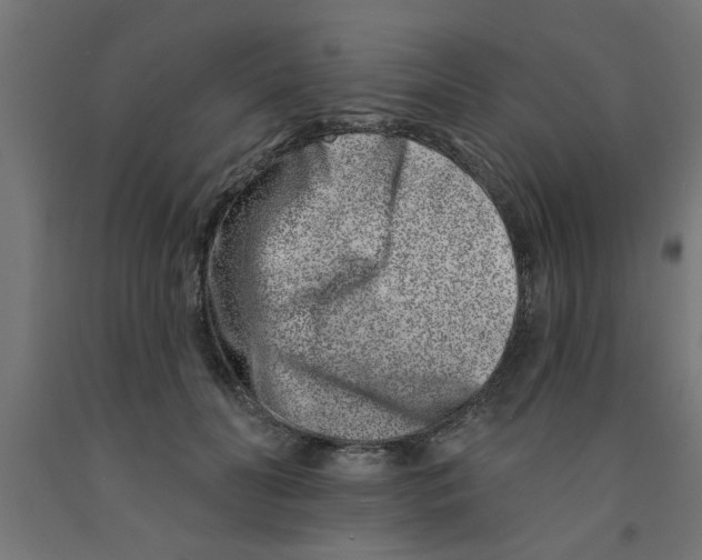 X0000090870606200708241921