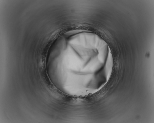 X0000090870607200708241921