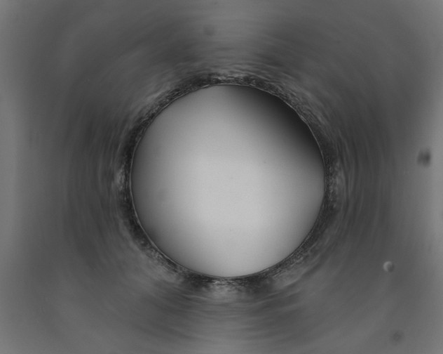 X0000090870608200708241921