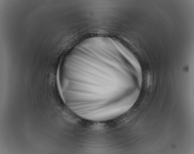 X0000090870609200708241921