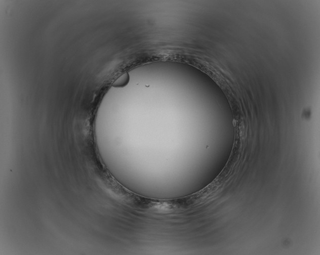 X0000090870611200708241921